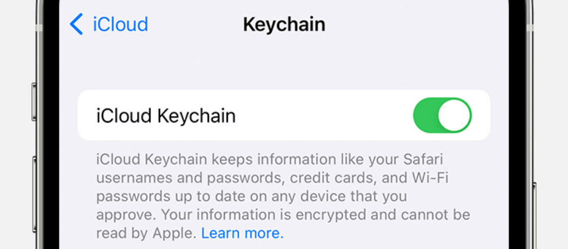 Apple keychain