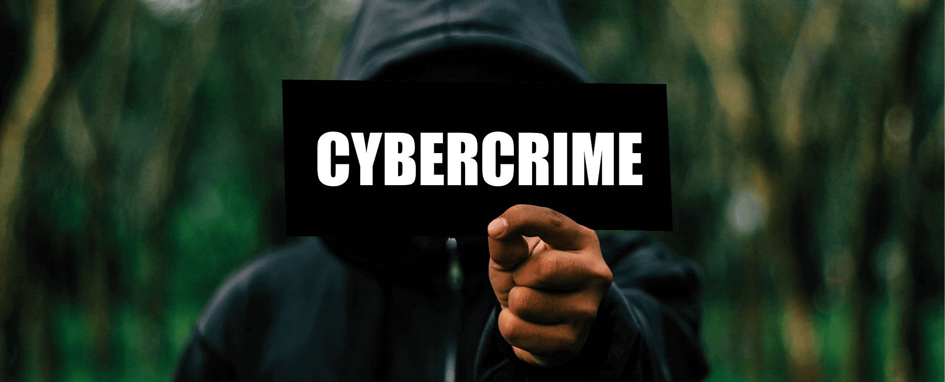 kibernetički kriminal